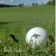 thumbnail image 3 of Ball Tatt Golf Ball Stamp Marker Self-Inking Quick-Dry Stamper, Orca, 3 of 5