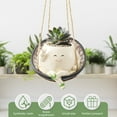 thumbnail image 5 of LINFANG Swing Planter Pot Smile Face Swing Flowers Pot Cute Hanging Swing Planter Resin Swing Plant Pot for Indoor Outdoor Resin Hanging Planter Pots for Succulents Pearls 14.3 × 13.5 × 10.8cm, 5 of 9