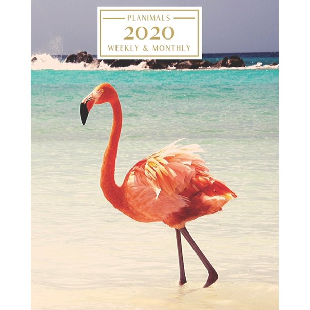 2020: Weekly and Monthly Planner/Calendar Jan 2020 - Dec 2020 Flamingo 2020: Weekly and Monthly Planner/Calendar Jan 2020 - Dec 2020 Flamingo