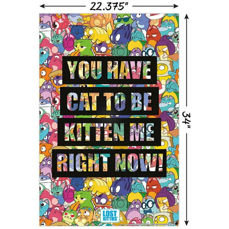 Lost Kitties - Favorite Wall Poster, 22.375 x 34 - Walmart.com