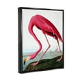 thumbnail image 3 of Stupell Industries Flamingo Stepping Near Pond Animals & Insects Painting Black Floater Framed Art Print Wall Art, 17 x 21, 3 of 9