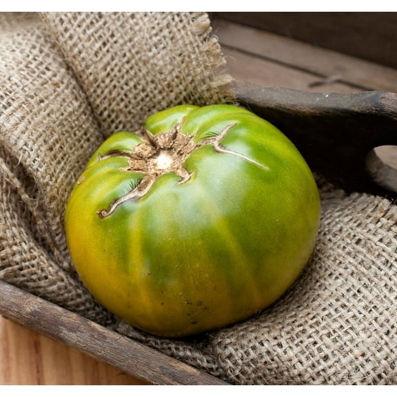 Sherwood's Seeds Heirloom Tomato Plant Seed, 80 days to Maturity
