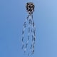 thumbnail image 5 of Cometa de gran tamaño 3D de una sola línea con línea de vuelo de 30 m y cola larga para niños y adultos. Blanco negro, 5 of 8