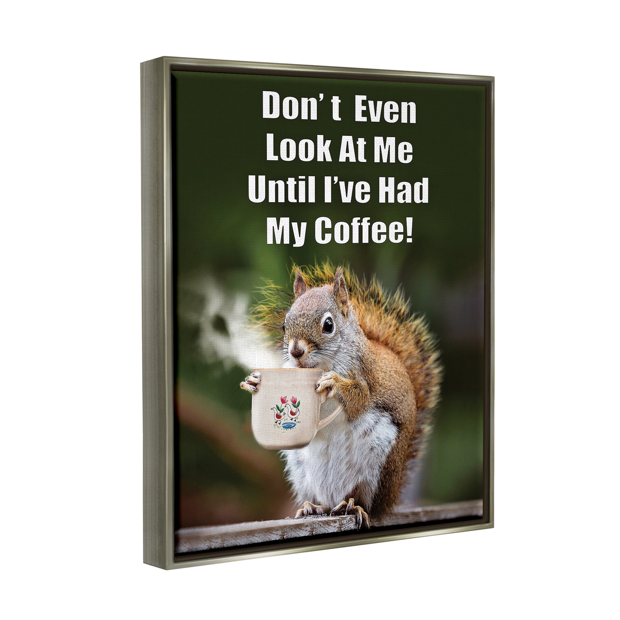 Stupell Industries Funny Squirrel Coffee Phrase Animals & Insects Painting Gray Floater Framed Art Print Wall Art, 17 x 21