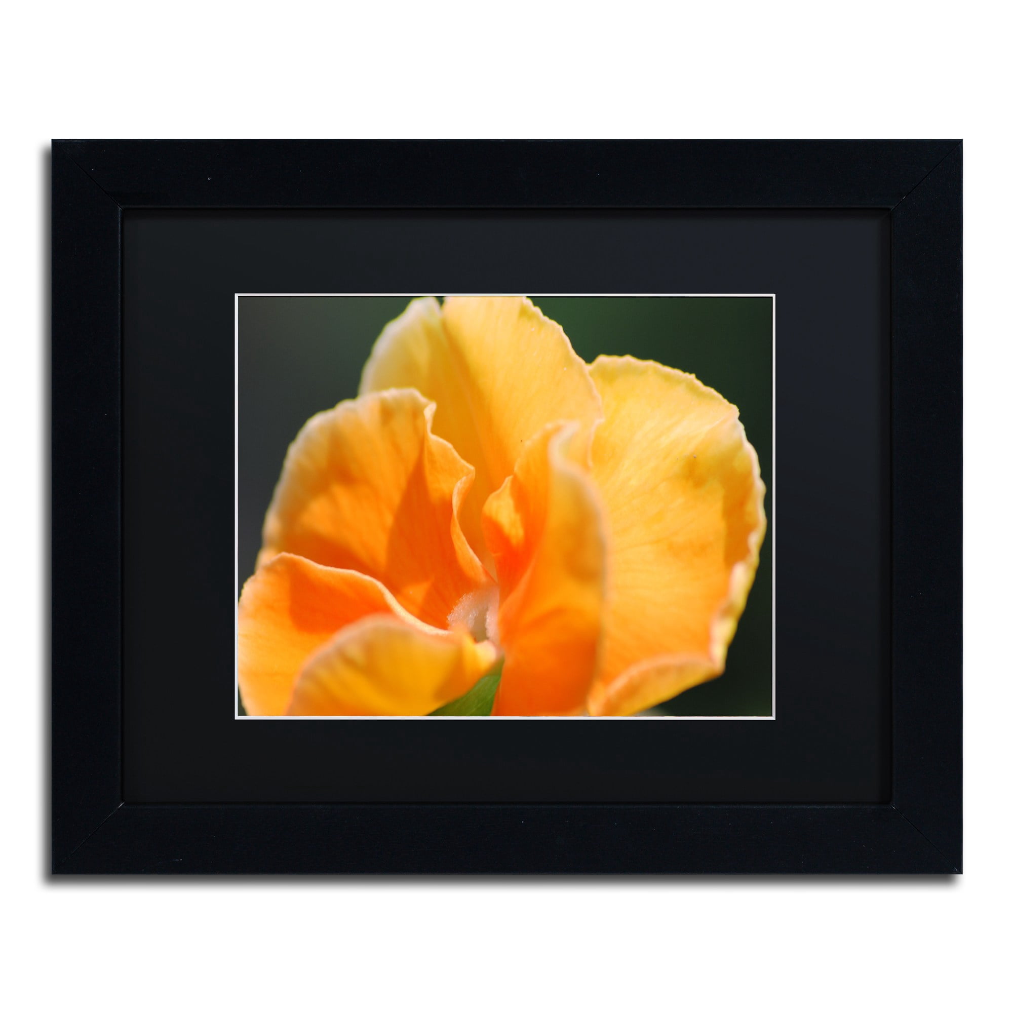 Trademark Fine Art "Simple Compassion" Canvas Art by Monica Mize, Black Matte, Black Frame