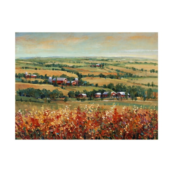 Trademark Fine Art Tim OToole Rural Open Landscape II Canvas Wall Art