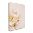 thumbnail image 3 of Stupell Industries Unique Florals Blooming Bleach Blonde Petals Abstract Photography, 24 x 30,Design by Renee W. Stramel, 3 of 5