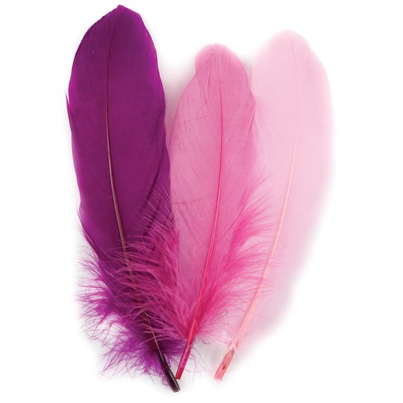 Zucker Feather Products Loose Goose Pallets Mix Dyed - 6-8" - 12 pcs - Lovebug Mix