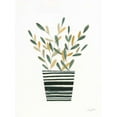 thumbnail image 2 of Prahl, Courtney 19x24 White Modern Wood Framed Museum Art Print Titled - Herb Garden I, 2 of 4