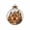 B, variant on Glowing Christmas Decor Ball, Gingerbread House and Candy Scene in Clear Sphere with Warm Lights, for Tree Hanging and Wreath Decor