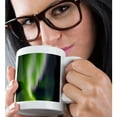 thumbnail image 2 of 3drose, Alaska, Hot Springs Aurora Borealis, Northern Lights - Us02 Szu0004 - Sherry Zurey, 15oz Mug, 2 of 6