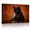 B, variant on XaaKee Noir Feline Cat with Martini Glass Canvas Wall Art Classical Regal Animal Portrait Print Inner Framed 18*12Inch