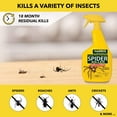 thumbnail image 2 of Harris Spider Killer, Liquid Spray with Odorless and Non-Staining Formula 32oz, 2-Pack, 2 of 7