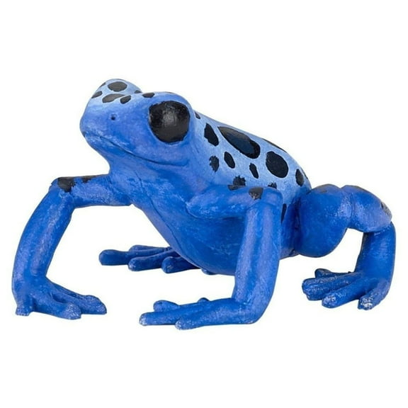 Equatorial Blue Frog