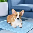 Dog Bed Crate Mat, Soft Plush Dog Bed Pad Machine Washable Crate Pad, Dog Sleeping Mat,xs,F36345