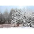 thumbnail image 3 of Jones, Mike 14x11 Black Modern Framed Museum Art Print Titled - Frosty Morning, 3 of 5