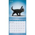 thumbnail image 4 of Yoga Kittens OFFICIAL | 2027 12x24" (Hanging) Wall Calendar | Plato, 4 of 9