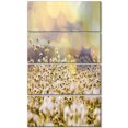 thumbnail image 2 of Beautiful Chamomiles Field - Oversized Landscape Canvas Art, 2 of 3