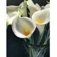 thumbnail image 7 of Morttic 20pcs Artificial Calla Lily, Real Touch Latex Flowers for Home, Wedding Table Party Decorations (Yellow Bud White), 7 of 7