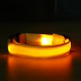 thumbnail image 4 of 2.5cm LED Night Flashing Dog Pet Collar Collar de nylon Correa (Amarillo / XL) Ndcxsfigh Nuevos Originales, 4 of 6