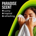 thumbnail image 4 of Downy Unstopables In Wash Scent Booster Beads, Paradise Scent, Laundry Beads for Odour Protection, Downy Scent Booster Beads, Laundry Scent Boosters, 4 of 20