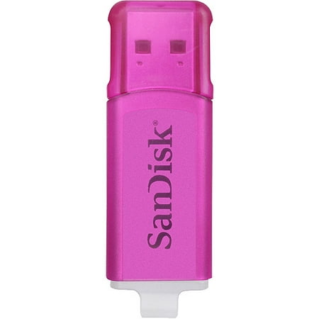 SanDisk Lola Purple 4GB Cruzer Micro Skin USB Flash Drive  Walmart.com