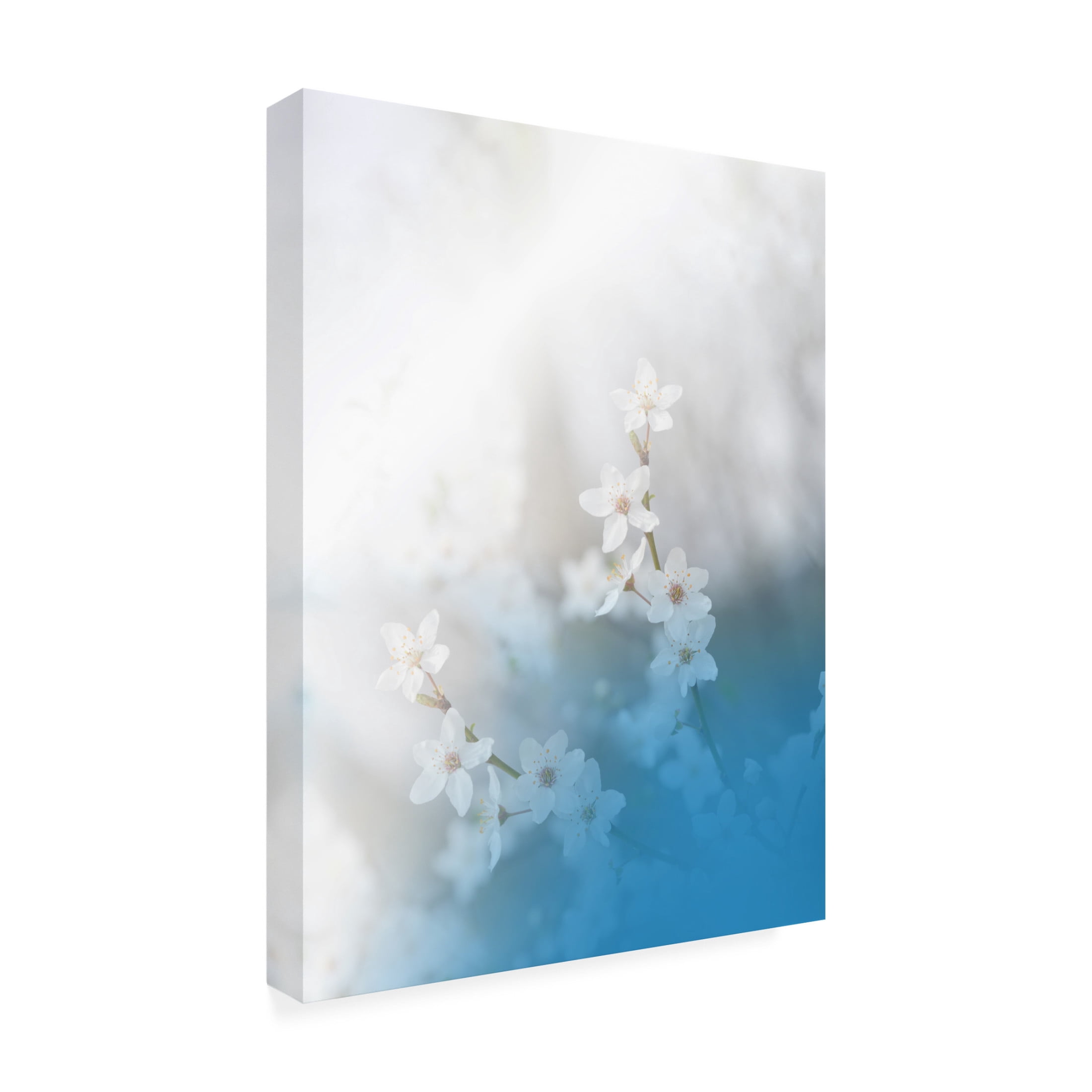 Trademark Fine Art Juliana Nan Secret Melody Canvas Wall Art