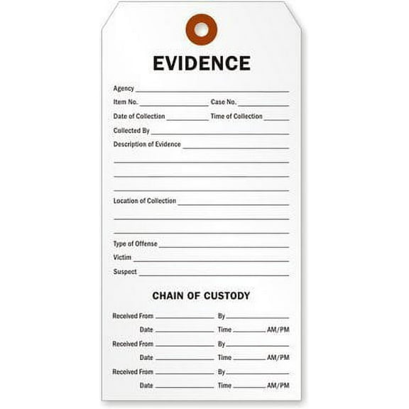 Evidence and Chain of Custody Tag, 25 Tags/Pack, 6.25" x 3.125"