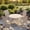 Sandshell Table-Sandshell Chairs, variant on Vicllax 5Piece Outdoor Patio Dining Set, 40 Inch Round Table with Umbrella Hole and All-Weather Patio Swivel Chairs set of 4, Sandshell Table and Sandshell Chairs