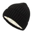 thumbnail image 1 of Girl Fashion Knitted Hat Warm Woolen Winter Ear Soft Comfortable Stylish Cold Weather Accessory, 1 of 3