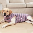 Dog Surgical Recovery Suit, Anti Licking Abdominal Wound, Pet Body