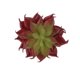 thumbnail image 4 of Artificial Suculenta Flor Plástica Flor Mini Lotus Decoración de Jardín Casa Zulema Las plantas suculentas artificiales, 4 of 5