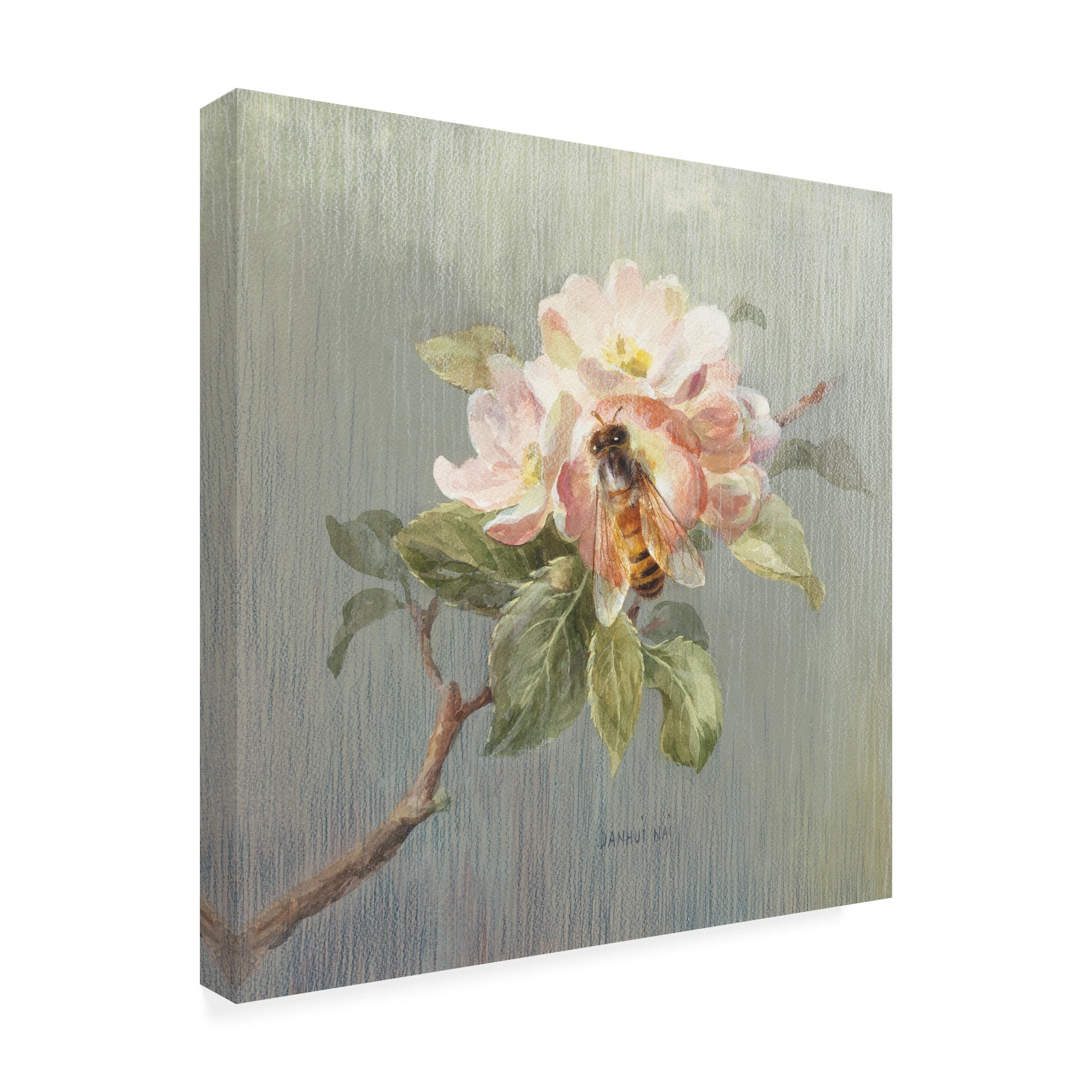 Trademark Fine Art 'Natural Detail I' Canvas Art by Danhui Nai
