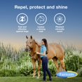 thumbnail image 3 of Aerosol para moscas de caballo Farnam Bronco Gold, 3,8 L, ayuda para el aseo, 3 of 9