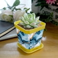 thumbnail image 5 of HemaKayy Decorative Planter Pot Set - Perfect for Small Plants - Colorful Design With Drainage Hole - Ideal for Home and Garden Decor - Set of 8 - Unique Marble Texture, 5 of 6