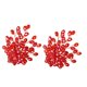 thumbnail image 1 of KAKOWELY 2Ud Hebillas Para En Con Atractivo Y Material Resistente Para Uso Diario, 1 of 8