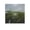 Unframe-style, variant on Andrew Wyeth Poster Airborne Canvas Famous Paintings, Wall Art Posters, Decorative Hanging Pictures Gifts Canvas Painting Poster Wall Art Decorative Picture Prints Modern Decor 16x16inch(40x40cm)