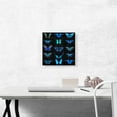 thumbnail image 2 of ARTCANVAS Navy Baby Blue Butterfly Wings Insect Black Canvas Art Print - Size: 12" x 12" (1.50" Deep), 2 of 9