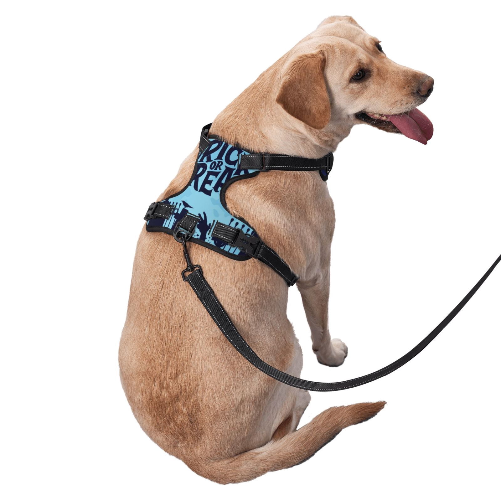 Fuzoiu Halloween Trick Or Treat Print Reflective Dog Harness,Adjustable, Breathable Pet Vest,Dog Harness No Pull,No Choke Pet Vest for Small, Medium, and Large Dogs-Small
