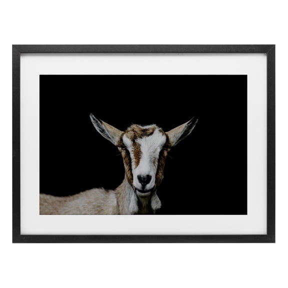 Goat Face over Black Black Framed Print Under Glass, design by Amy Carroll