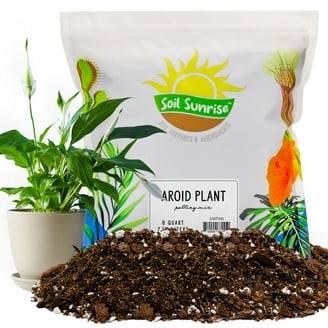 low cost grass seed EcoSeed Fine Fescue Lawn Mix main image 1