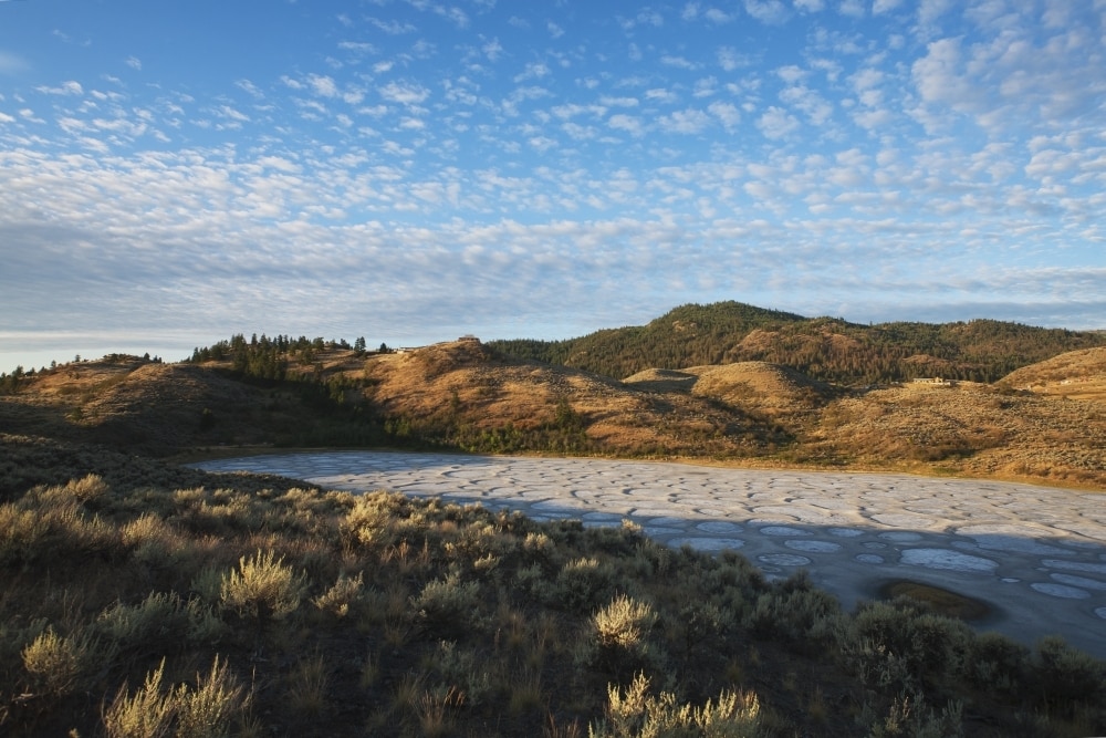 Spotted Lake Near Osoyoos Okanagan Valley British Columbia Canada Posterprint Walmart Com Walmart Com
