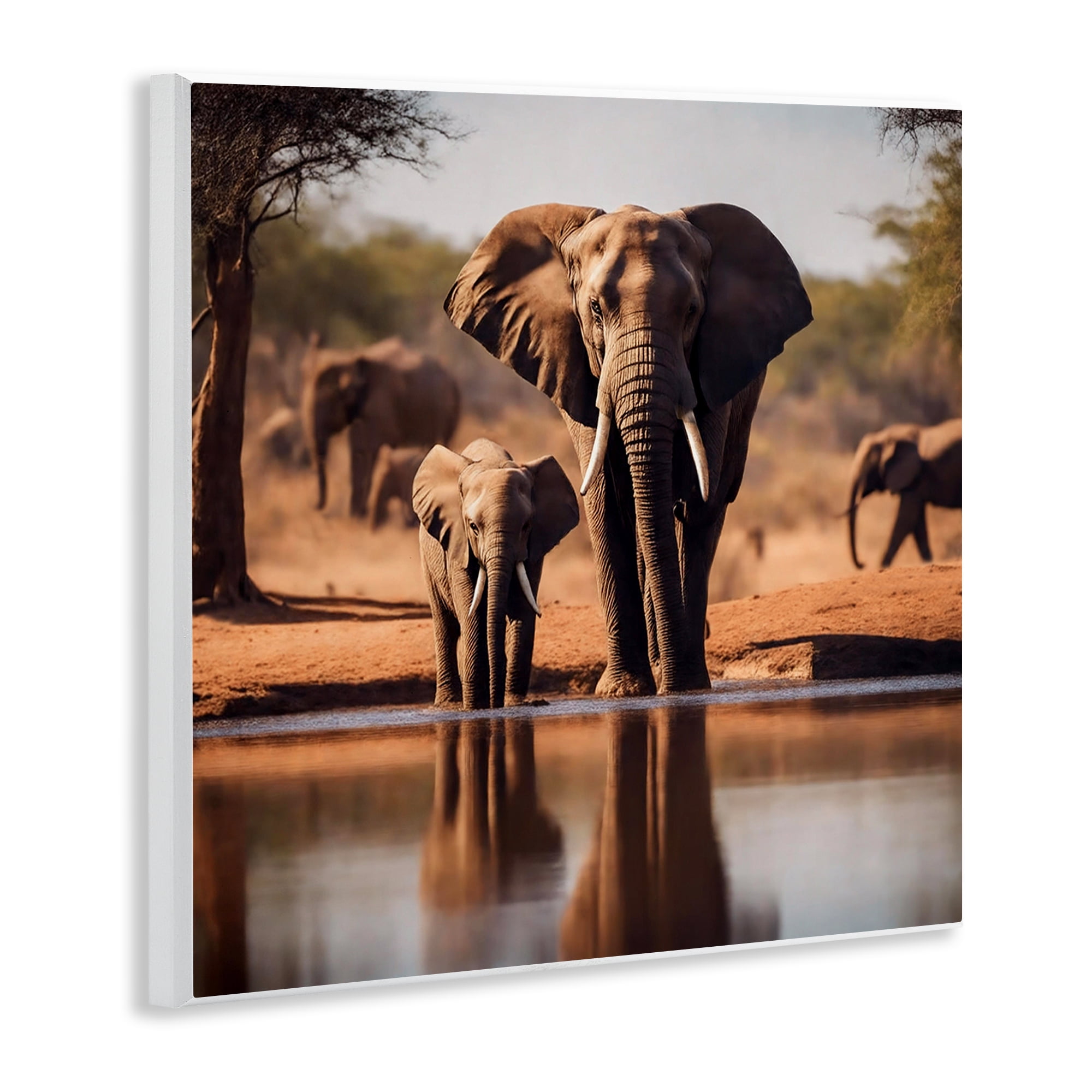 Stupell Industries Elephant & Calf at Waterhole Animals Photography Unframed Art Print Wall Art, 12 x 12