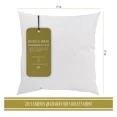thumbnail image 1 of Relleno Premium Para Cojín Decorativo 45x45 Cm Marca Goût Goût Goût Home RELL45X45, 1 of 6