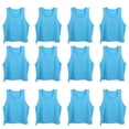 thumbnail image 1 of 12 piezas de chaleco de entrenamiento para niños, de malla transpirable, para practicar en equipo, talla única, para fútbol, baloncesto y deportes al aire libre., 1 of 14