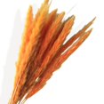 thumbnail image 5 of Dried Floral Arrangement with Pampas Grass and Textured Accents - Beige, 5 of 7