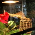 thumbnail image 4 of Bearded Dragon Tank Accessories, Include Reptile Mat Hammock Plants Bridge Jungle Climber Vines Terrarium Decorations for Bearded Dragon Lizard Snake, 4 of 9