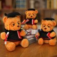 thumbnail image 4 of RV Oso de peluche con gafas - 18 cm, diploma y gorro de médico - Peluche para graduación, instituto o universidad Rojo Verde, 4 of 5