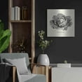 thumbnail image 4 of Luxe Metal Art 'Linen Vegetable BW Sketch Lettuce' by Studio Mousseau, Metal Wall Art, 24"x24", 4 of 7