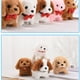 thumbnail image 5 of Perro de peluche eléctrico con sonido de caminar, ladrar, cabecear, mover la cola, interruptor inferior, juguete eléctrico para niños, 5 of 5